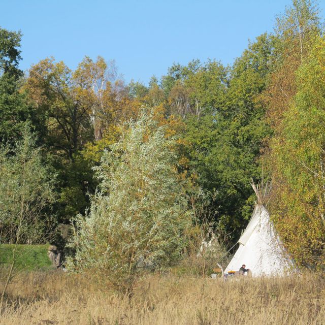 Huskyakademie für Kids und Teens - Tipi