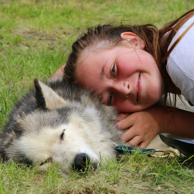 Huskyakademie für Kids und Teens - Husky kuscheln