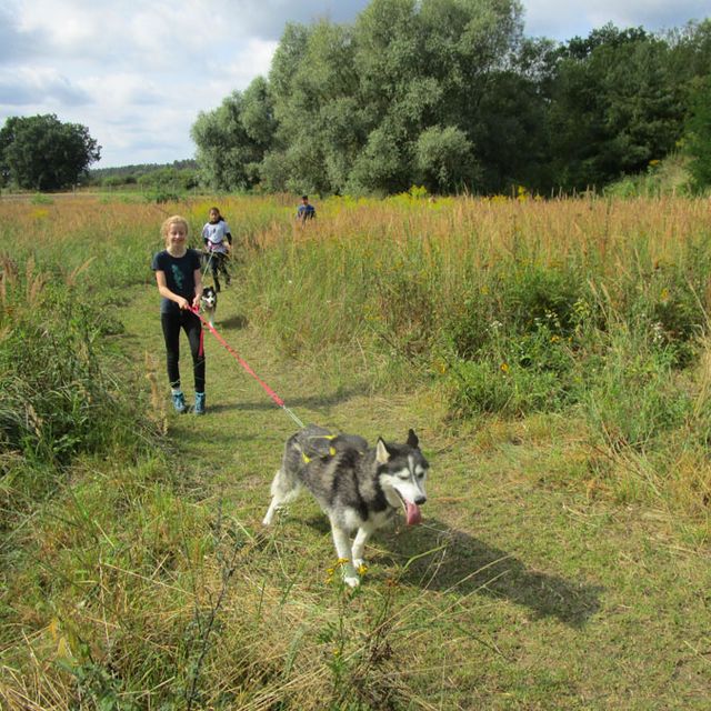 Huskyakademie Kids und Teens